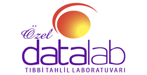 datalab